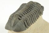 Detailed Reedops Trilobite - Nice Eye Preservation #204081-5